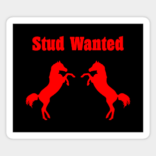 Stud Wanted Two Stallion Horses Dark Monotone Magnet